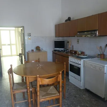 Golden Discover *